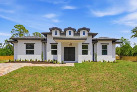 New construction Single-Family house 335 S Datil St, Clewiston, FL 33440 - image