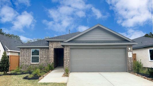 New construction Single-Family house 20026 Palermo Shores Dr, Hockley, TX 77447 plan Dalton - image