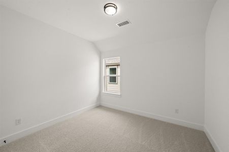 New construction Single-Family house 17141 Oxborough Dr, Fort Worth, TX 76247 - image 19