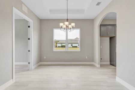 New construction Single-Family house 51 E Diamond Dr, Palm Coast, FL 32164 plan Birkdale - image 8
