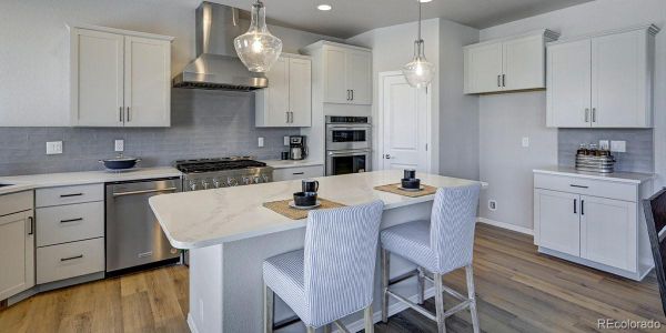 New construction Single-Family house 366 Hardstone Dr, Monument, CO 80132 - image 7