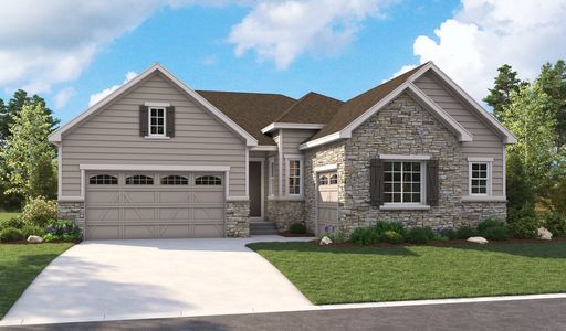 Lakeview by Richmond American Homes in Loveland - photo 6 6