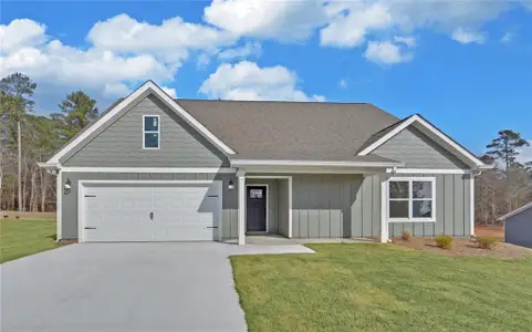 New construction Single-Family house 310 Park Place Dr, Lavonia, GA 30553 - image