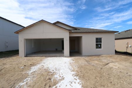 New construction Single-Family house 12227 Hilltop Farms Dr, Dade City, FL 33525 Sentinel- photo 59 59