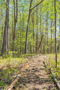 New construction Single-Family house 280 Winterberry Wy, Roswell, GA 30075 - image 12