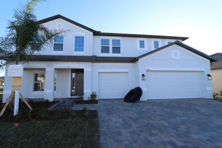 New construction Single-Family house 3063 King Fern Dr, Wimauma, FL 33598 Dali- photo 93 93