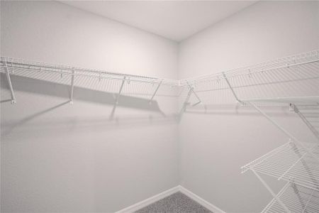 New construction Single-Family house 6042 Ballast Dr, Wimauma, FL 33598 plan Raychel - image 15