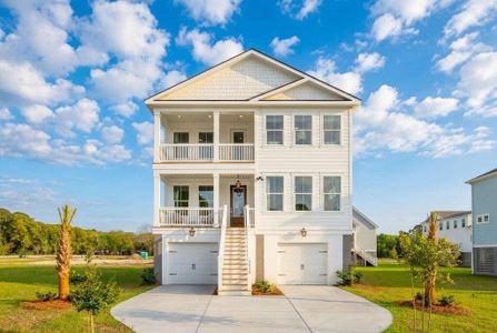 New construction Single-Family house 11 Kings River Trl, Hollywood, SC 29449 - image