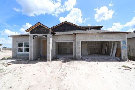 New construction Single-Family house 4774 Beachrose Way, Lakeland, FL 33811 Barcello Bonus- photo 10 10