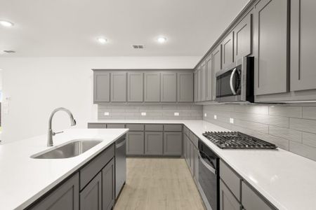 New construction Single-Family house 741 Scarlet Sage Rd, Waxahachie, TX 75165 plan Phoenix - image