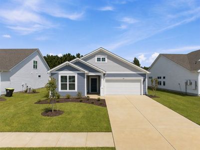 New construction Single-Family house 139 Buckingham Dr, Conway, SC 29526 plan Georgetown - image