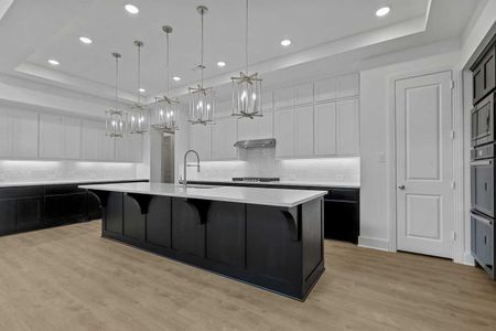 New construction Single-Family house Van Alstyne, TX 75495 plan Regis - image 14