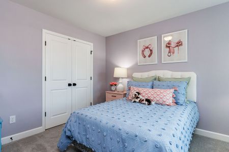 Serenity - The Village Collection by David Weekley Homes in Fuquay Varina - image 11