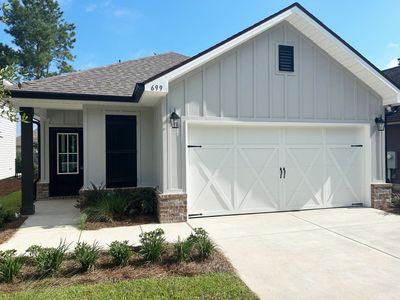 Crescent and Symphony at Hammock Bay by DSLD Homes in Freeport - image 3