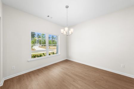 New construction Single-Family house 218 Somera Ln, Statesboro, GA 30461 plan The Birch - image 19