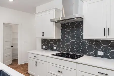 The Reserve at Reidsboro by Trademark Quality Homes in Williamson - image 7