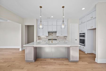 New construction Single-Family house 1041 Sage Pine Cir, Clover, SC 29710 plan Bethpage - image 10