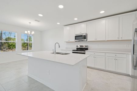 New construction Single-Family house 4964 Meadow Bay Ct, Wimauma, FL 33598 plan 4964 Meadow Bay Court - image 12