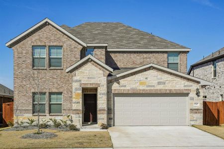 New construction Single-Family house 767 Moonlight Pl, Lavon, TX 75166 Bexar- photo 38 38