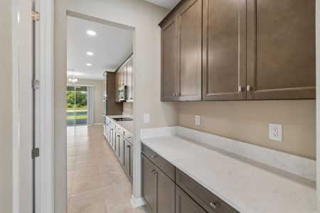 New construction Single-Family house 5800 Freesia Dr, Lakeland, FL 33811 plan Mira Lago - image 7
