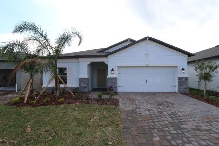 New construction Single-Family house 3150 Adams Cross Dr, Zephyrhills, FL 33540 Miranda- photo 105 105