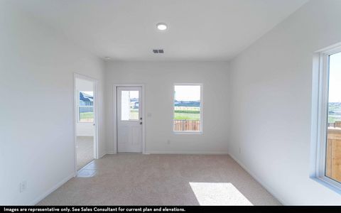 New construction Single-Family house 716 Barbary Coast Ln, Jarrell, TX 76537 plan Elm - image 7