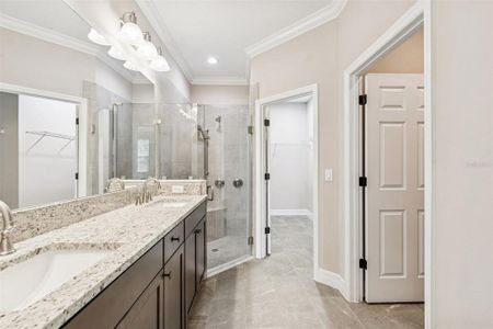 New construction Single-Family house 345 Villa Corte Dr, Lutz, FL 33549 - image 14