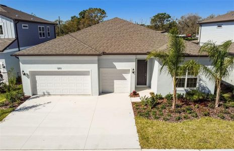 New construction Single-Family house 12113 Orchid Ash Street, Riverview, FL 33579 - photo 0