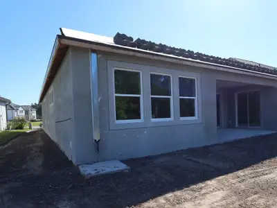 New construction Single-Family house 1743 Drummond Pt, Zephyrhills, FL 33541 plan Corina  III - image