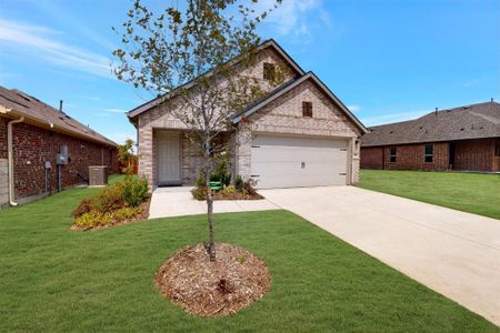 New construction Single-Family house 749 Hidden Feather Dr, Lavon, TX 75166 plan Periwinkle - 30' Smart Series - image