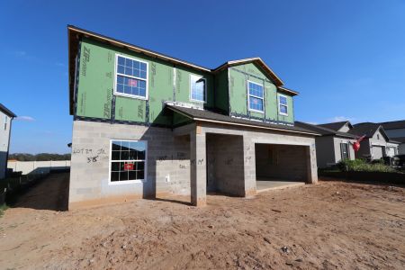 New construction Single-Family house 12294 Hilltop Farms Dr, Dade City, FL 33525 Malibu- photo 69 69