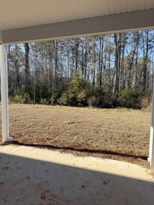 New construction Single-Family house 227 Palfrey Dr, Ridgeville, SC 29472 plan Drexel - image 16