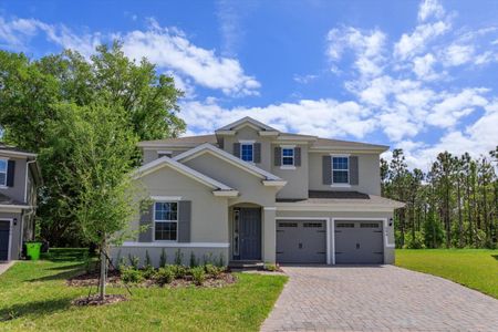 New construction Single-Family house 594 Via Bella Court, Howey-in-the-Hills, FL 34737 Biscayne- photo 0