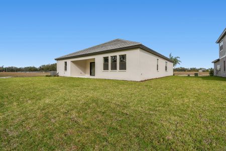 New construction Single-Family house 12505 White Blossom Ct, Parrish, FL 34219 plan Sapphire - image 4