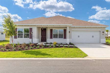 New construction Single-Family house 10693 Sw 102Nd Ln, Ocala, FL 34481 - image 19