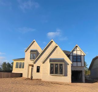 New construction Single-Family house 41696 Wendele Wy, Montgomery, TX 77363 plan Rialto - image