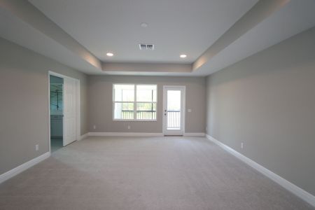 New construction Single-Family house 1787 Drummond Pt, Zephyrhills, FL 33541 Sonoma II- photo 131 131