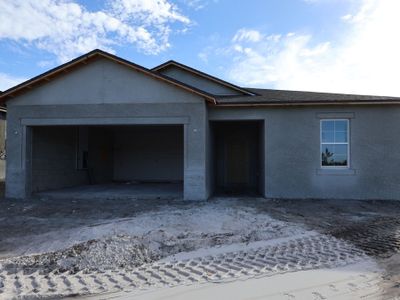 New construction Single-Family house 2928 Quinault Pl, Wimauma, FL 33598 plan Sentinel - image