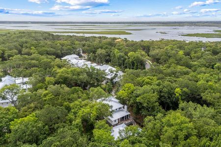 New construction Single-Family house 8187 Jack Island Dr, Johns Island, SC 29455 - image