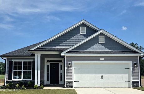 New construction Single-Family house 501 S Carey St, Unit 65, La Grange, NC 28551 plan 2030 - image