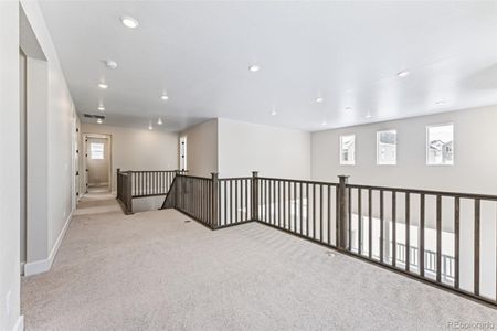 New construction Single-Family house 5723 Farrier Pt, Castle Rock, CO 80104 Copper- photo 15 15