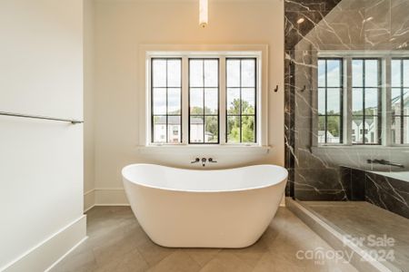 New construction Single-Family house 8010 Litaker Manor Ct, Charlotte, NC 28270 null- photo 18 18