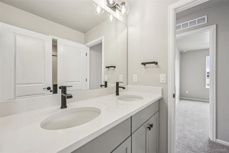 New construction Single-Family house 8779 Whiteclover St, Littleton, CO 80125 plan Plan 5 - image 8