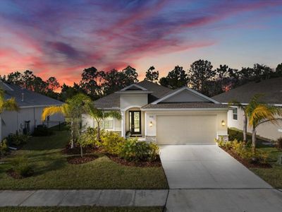 New construction Single-Family house 12739 Rainwashed Loop, Parrish, FL 34219 - photo 0