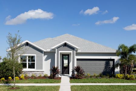 New construction Single-Family house 5346 Wolf Creek Dr, Apollo Beach, FL 33572 plan The Rosbach - image