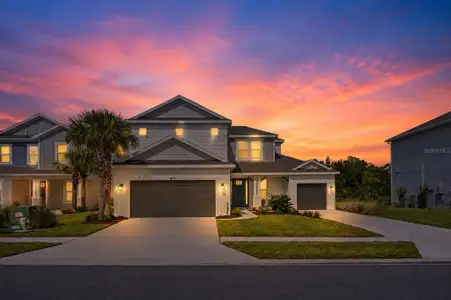 New construction Single-Family house 33734 Landsman Lp, Wesley Chapel, FL 33543 - image