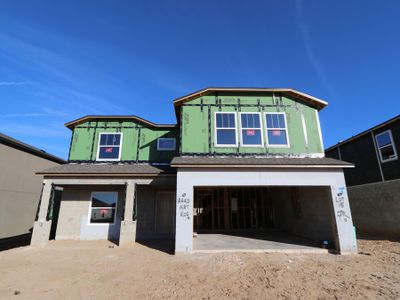 New construction Single-Family house 12146 Hilltop Farms Dr, Dade City, FL 33525 Cabo- photo 48 48