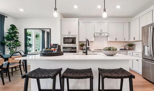 Raburn Reserve by New Home Co. in Tomball - image 18