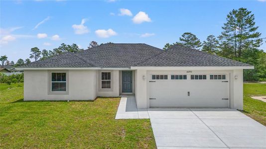 New construction Single-Family house 7128 Sw 134Th St, Ocala, FL 34473 null- photo 1 1