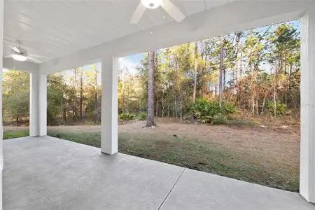 New construction Single-Family house 8725 Sw 136Th Ter, Dunnellon, FL 34432 - image 3